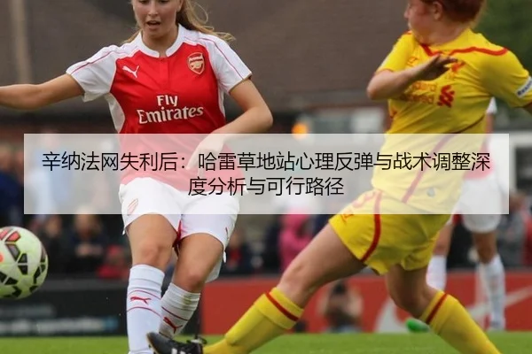 辛纳法网失利后：哈雷草地站心理反弹与战术调整深度分析与可行路径